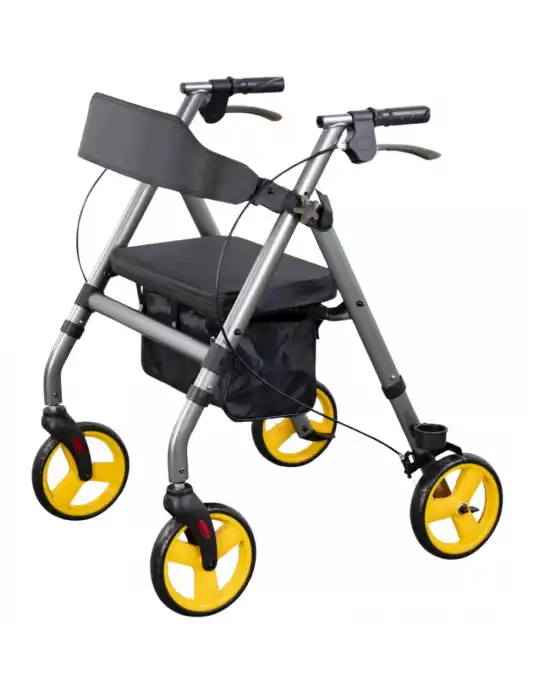 Poylin P581 Ekonomik Rollatör