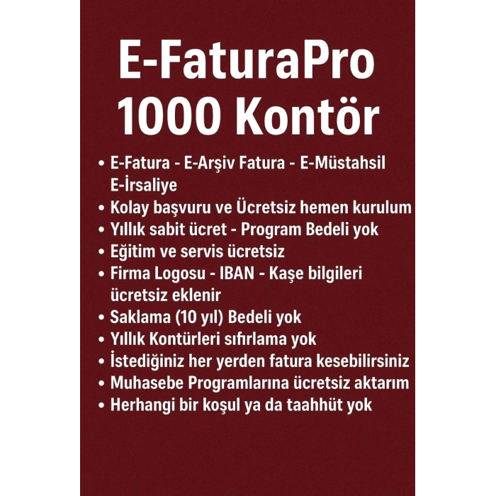 E-FaturaPro 1000 Kontur