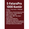 E-FaturaPro 1000 Kontur