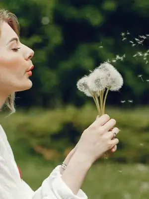 Koku Makinesi Kiralama