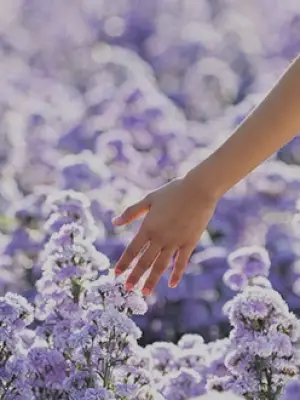 Kurumsal Koku Tasarımı