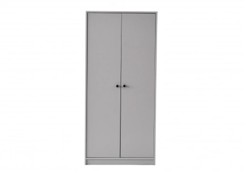 Arlen Gray 2-Door Cabinet