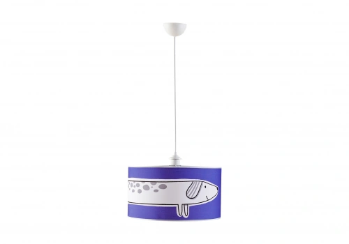 Country Ceiling Light