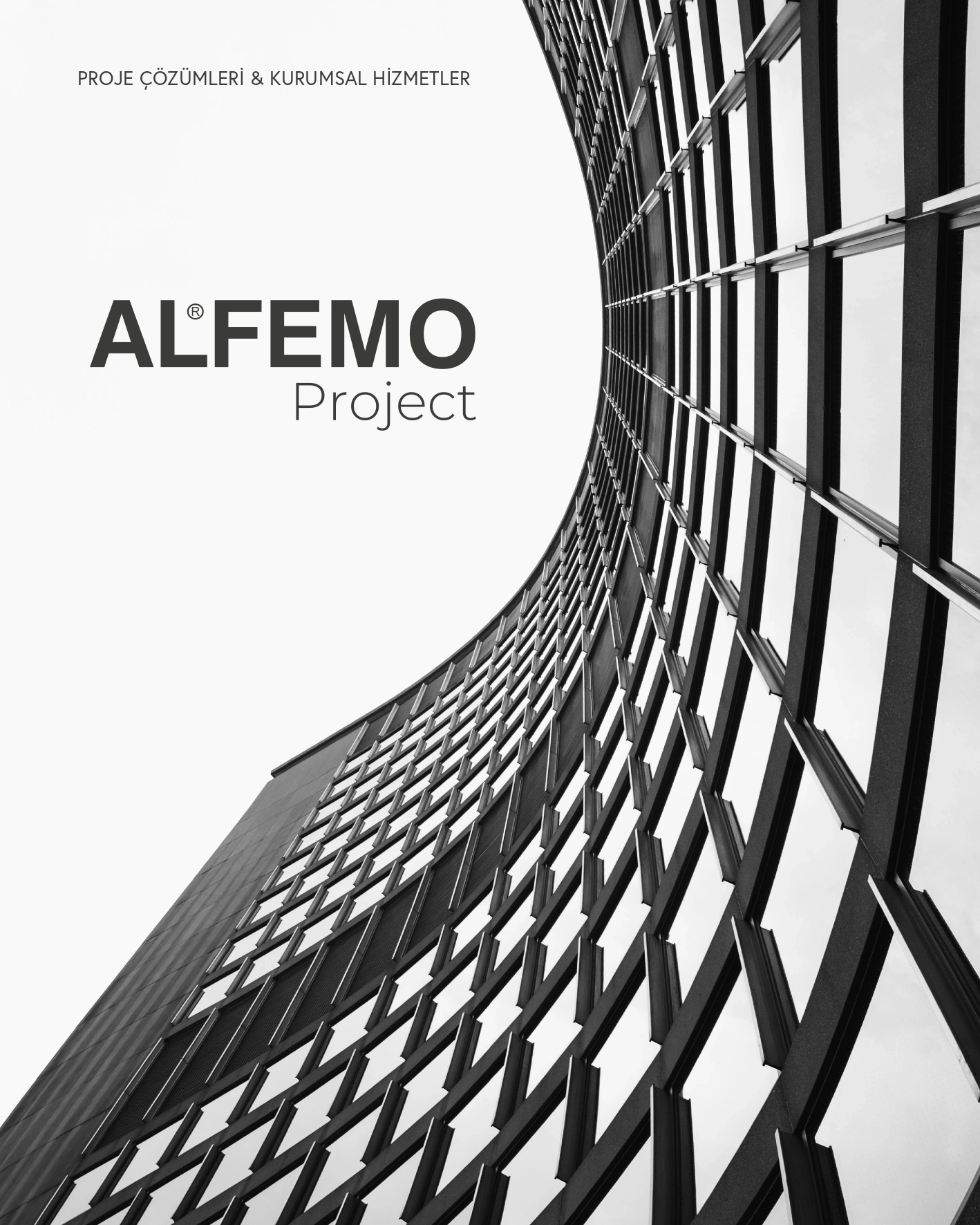 Alfemo Project