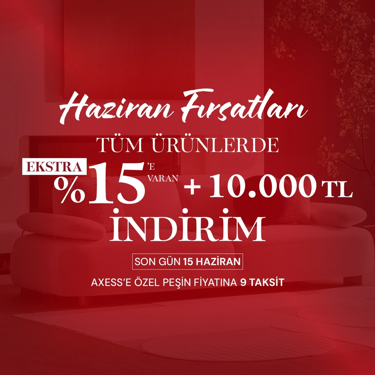 Haziran Fırsatları ALfemo'da!