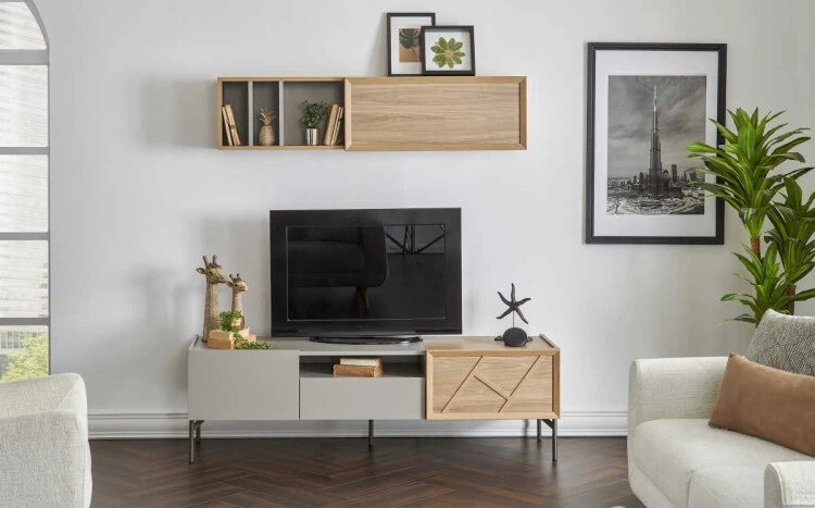 Floyd TV Ünitesi