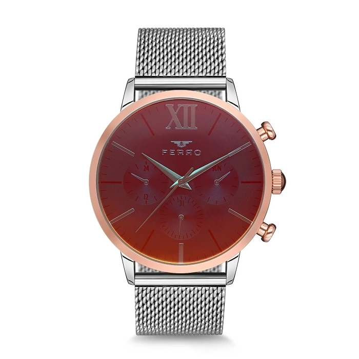 Ferro FM11005C-909-E4 Erkek Kol Saati