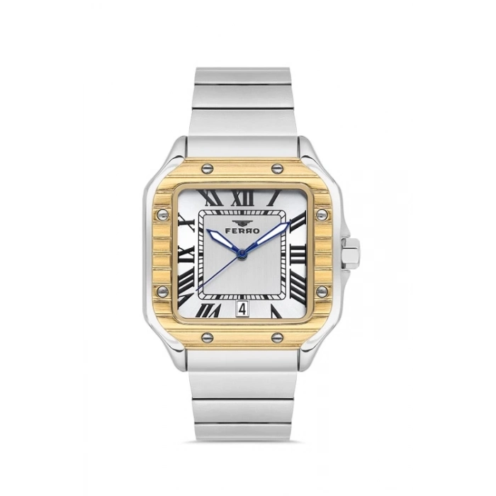 Ferro Gümüş Çelik Kordon Erkek Kol Saati F11448A-D 3 ATM SuGeçirmez 2 Yıl Garantili Hediye Paketli