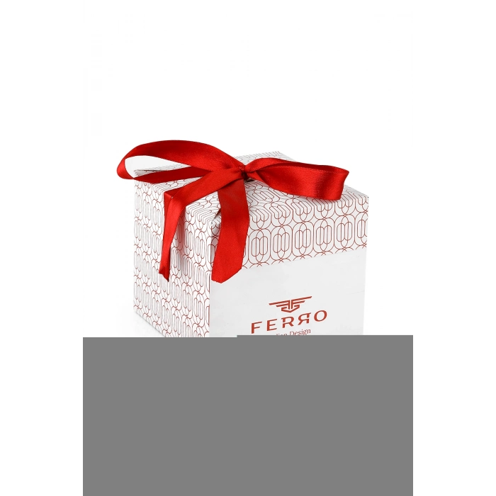 Ferro Gümüş Çelik Kordon Erkek Kol Saati F11481AWT-A2 3ATM Su Geçirmez 2 Yıl Garantili HediyePaketli