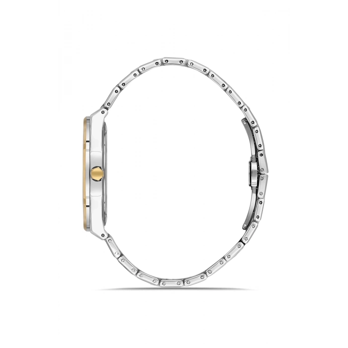 Ferro Gümüş Çelik Kordon Erkek Kol Saati FM40147A-D6