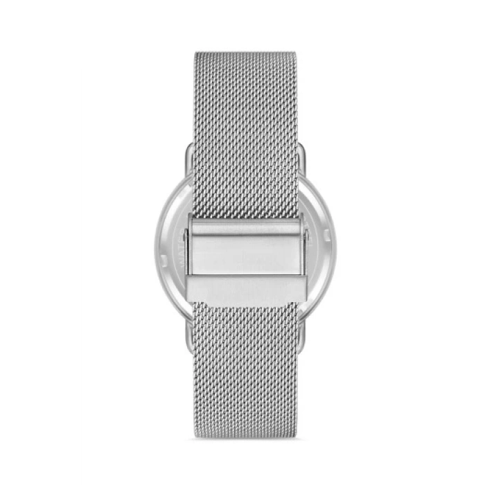 Ferro Silver Mesh Strap Mens Wristwatch F11064C-A