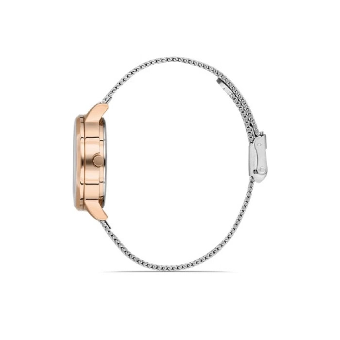 Ferro Silver Mesh Strap Womens Wristwatch F21934C-E