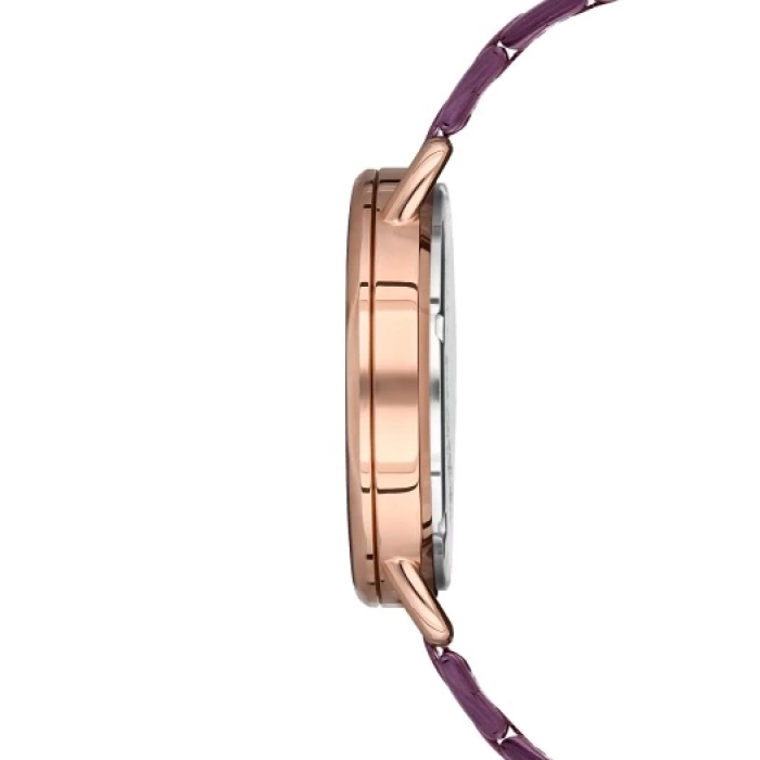 Ferro Murdum Steel Strap Mens Wristwatch F11064A-ZC