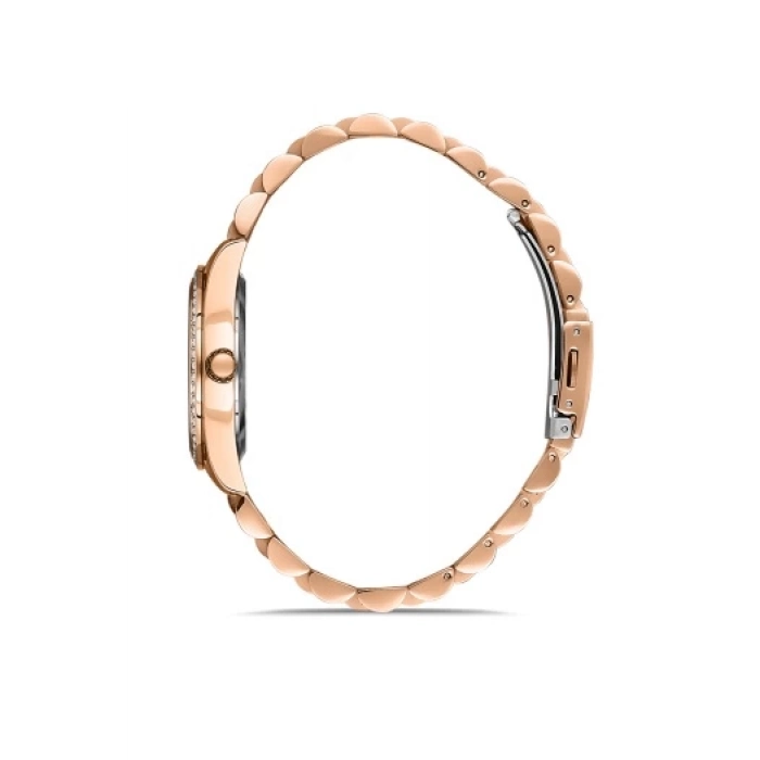 Ferro Rose Steel Strap Womens Wristwatch FL21263A-C