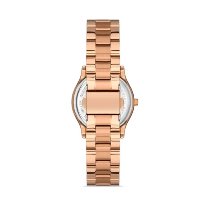 Ferro Rose Steel Strap Womens Wristwatch FL21286A-C6