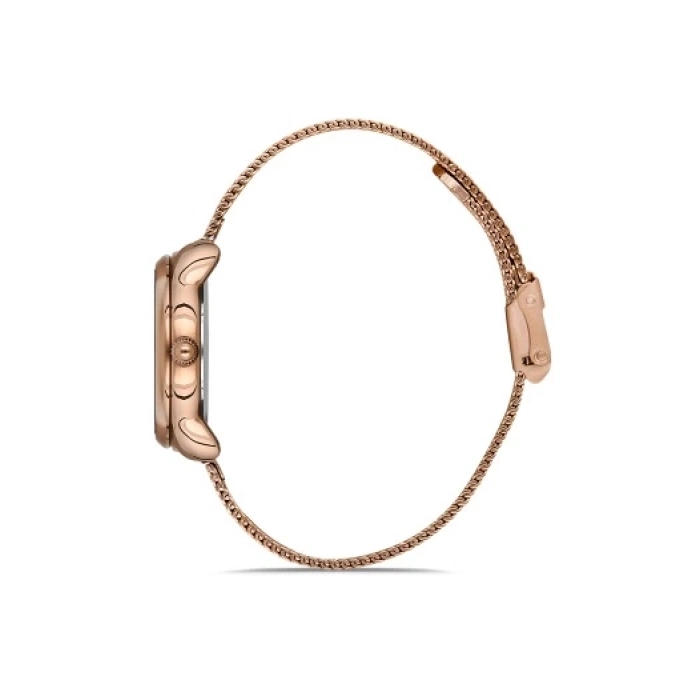 Ferro Rose Mesh Strap Womens Wristwatch F21152C-C