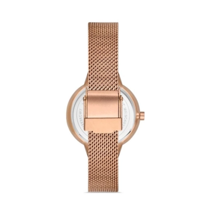 Ferro Rose Mesh Strap Womens Wristwatch F21153C-C