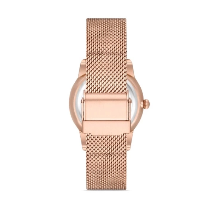 Ferro Rose Mesh Strap Womens Wristwatch F21182C-C