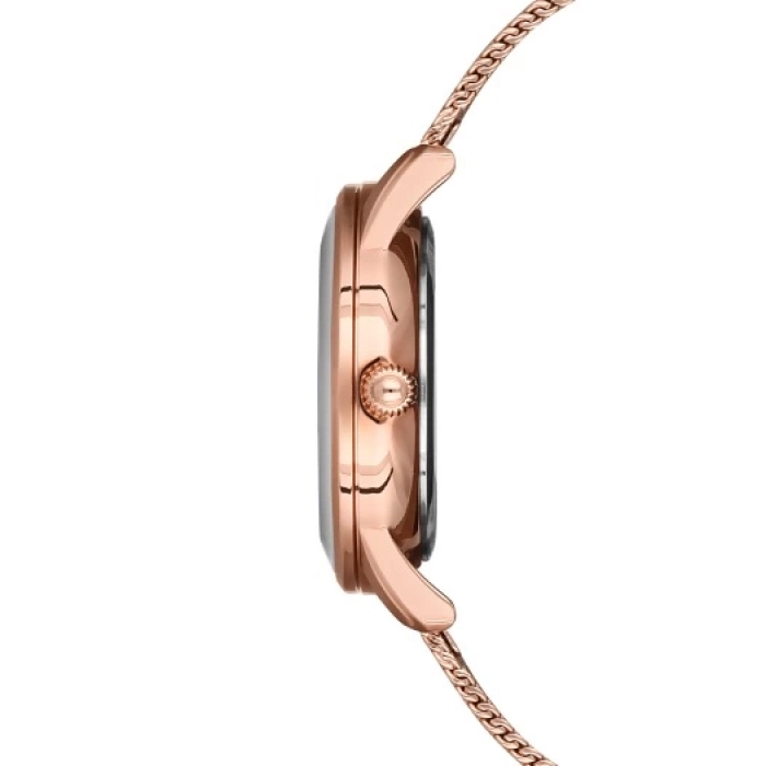 Ferro Rose Mesh Strap Womens Wristwatch F21182C-C