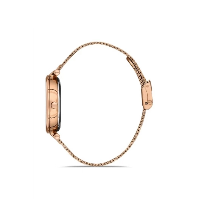 Ferro Rose Mesh Strap Womens Wristwatch F21232C-C