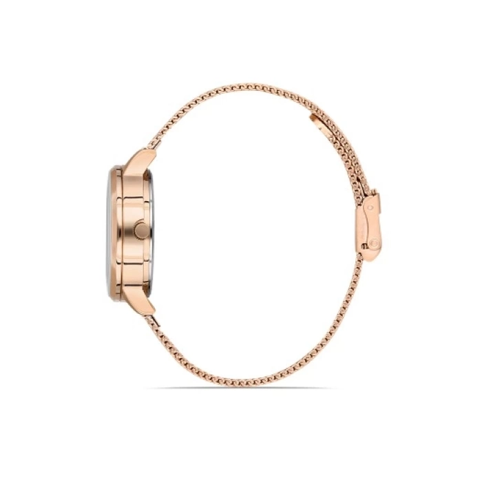 Ferro Rose Mesh Strap Womens Wristwatch F21934C-C