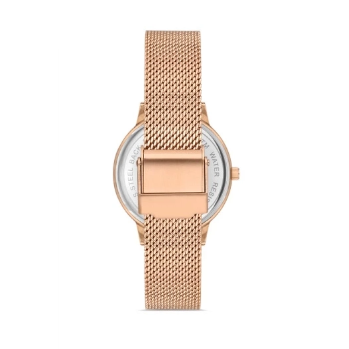 Ferro Rose Mesh Strap Womens Wristwatch F21934C-C