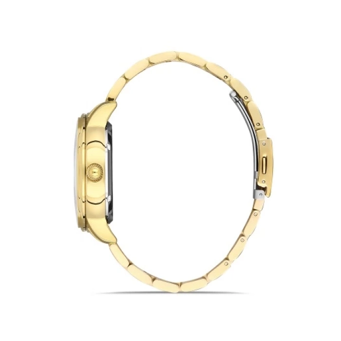 Ferro Sarı Çelik Kordon Erkek Kol Saati F31301A-B 3ATM Su Geçirmez 2 Yıl Garantili HediyePaketli