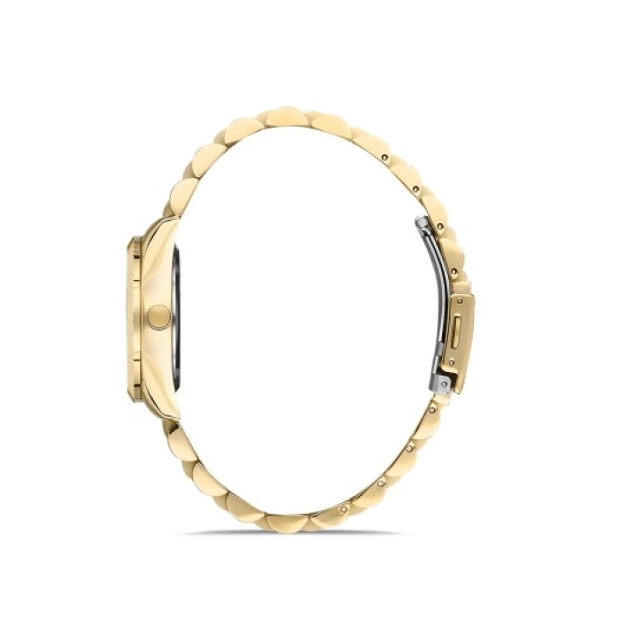 Ferro Sarı Çelik Kordon Kadın Kol Saati FL21294A-B