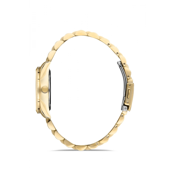 Ferro Sarı Çelik Kordon Kadın Kol Saati FL21294A-B6