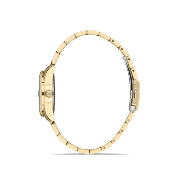 Ferro Sarı Çelik Kordon Kadın Kol Saati FL21295A-B