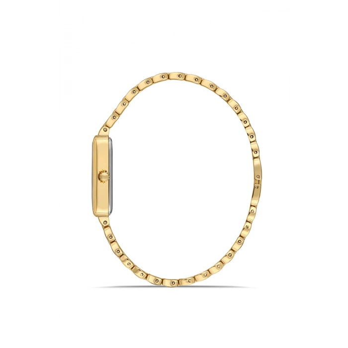 Ferro Sarı Çelik Kordon Kadın Kol Saati FL21511A-B6 3ATM Su Geçirmez 2 Yıl Garantili HediyePaketli