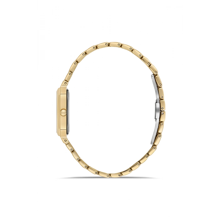 Ferro Sarı Çelik Kordon Kadın Kol Saati FL21645A-B