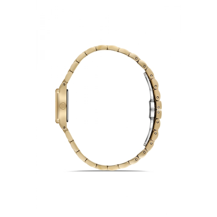 Ferro Sarı Çelik Kordon Kadın Kol Saati FL21764A-B