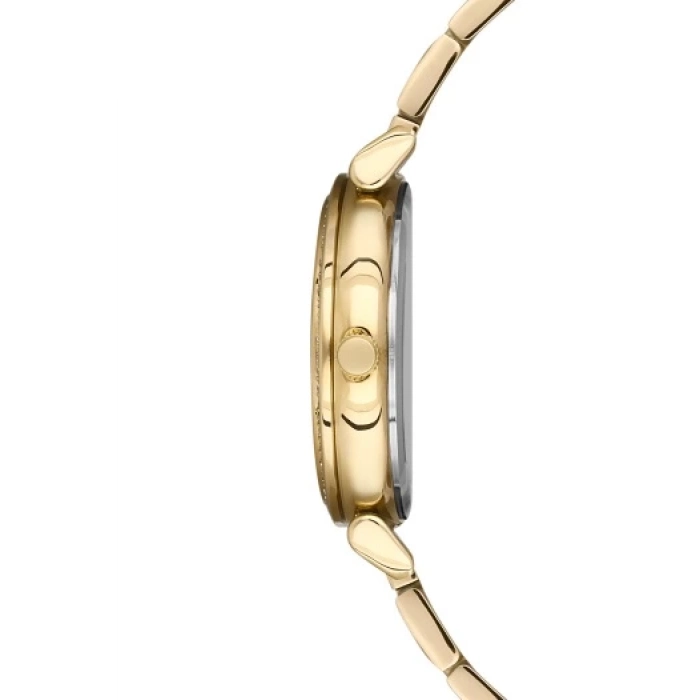 Ferro Sarı Çelik Kordon Kadın Kol Saati FL2994A-1132-B