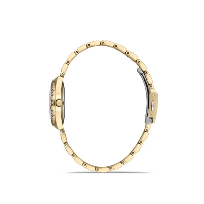 Ferro Sarı Çelik Kordon Kadın Kol Saati FL40119A-B