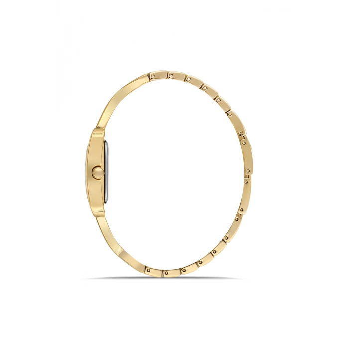 Ferro Sarı Çelik Kordon Kadın Kol Saati FL40155A-B2