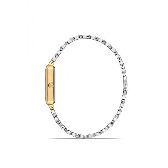 Ferro Sarı ve Gümüş Çelik Kordon Kadın Kol Saati FL21511A-D6 3 ATM Su Geçirmez 2 Yıl Garantili