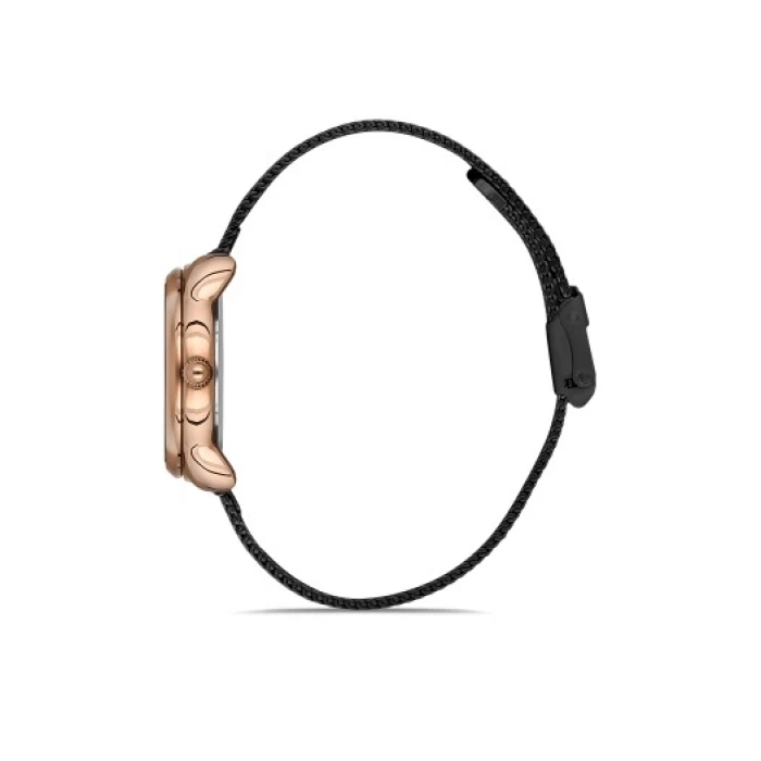 Ferro Black Mesh Strap Womens Wristwatch F21152C-R