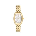 Ferro Sarı Çelik Kordon Kadın Kol Saati FL21769A-B 3ATM Su Geçirmez 2 Yıl Garantili HediyePaketli