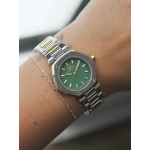 Ferro Gümüş ve Sarı Çelik Kordon Kadın Kol Saati FL21510A-D6 3ATM Su Geçirmez 2 Yıl Garantili