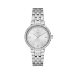 Ferro Silver Steel Strap Womens Wristwatch FL40102A-A