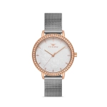 Ferro Silver Wicker Kordon Womens Wristwatch FL21242C-E