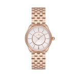 Ferro Rose Steel Strap Womens Wristwatch F21152A-C