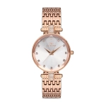 Ferro Rose Steel Cord Womens Watches F21917A-C