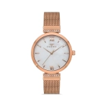 Ferro Rose Mesh Strap Womens Wristwatch F21209C-C