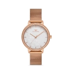 Ferro Rose Mesh Strap Womens Wristwatch FL21242C-C