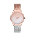 Ferro Rose and Silver Mesh Strap Womens Wristwatch F21119C-E5