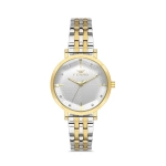 Ferro Yellow and Silver Steel Strap Womens Wristwatch FL21252A-D