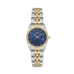 Ferro Sarı ve Gümüş Çelik Kordon Kadın Kol Saati FL21450A-D3 3ATM Su Geçirmez 2 Yıl Garantili