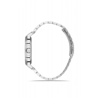 Ferro Gümüş Çelik Kordon Erkek Kol Saati F11592AWT-A3